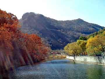 澳彩资料免费长期公开，田园风情生态鱼缸